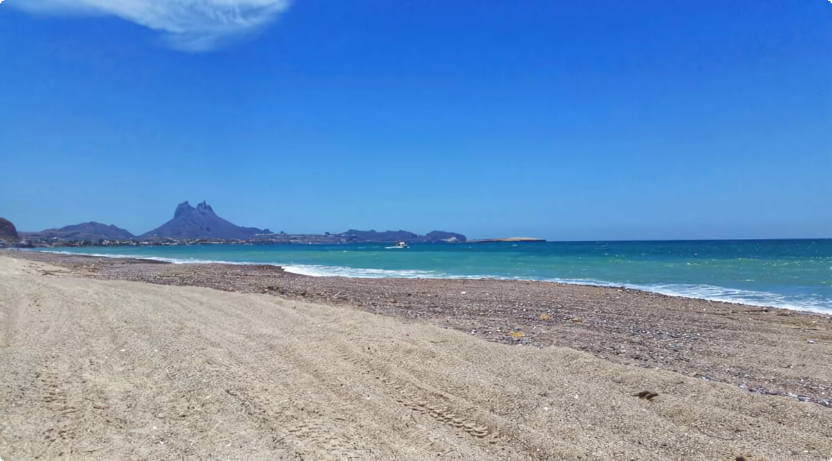 Quali sono le scelte di veicoli più popolari a Guaymas?